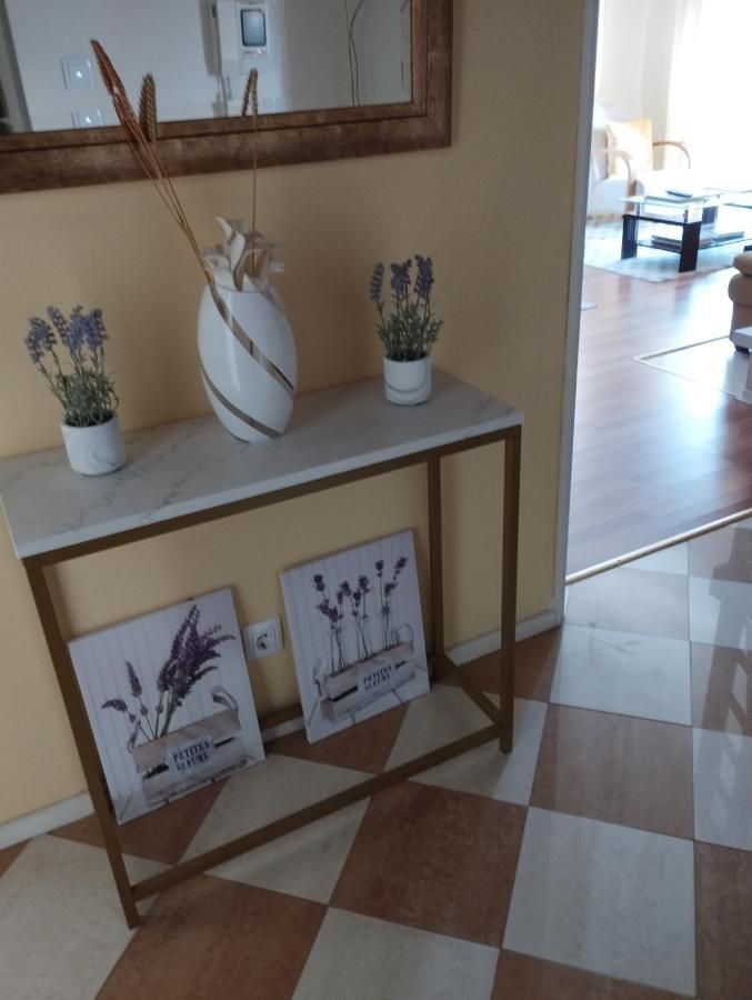 Alameda Residence Tomar Dış mekan fotoğraf
